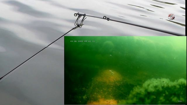 3. Мой КИВОК _АРБАЛЕТ_ Собственной Конструкции в летнем, боковом исполнении. Рыбалка. Fishing angeln смотреть онлайн