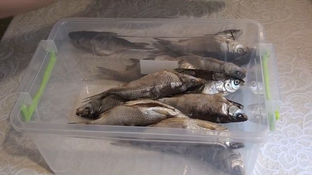 КАК ПРАВИЛЬНО ХРАНИТЬ СУШЕНУЮ РЫБУ смотреть онлайн