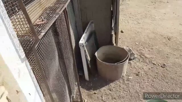 Вернулась домой/ Пополнение в хозяйстве/ Купила кормушки/ Наседка приняла всех цыплят смотреть онлайн