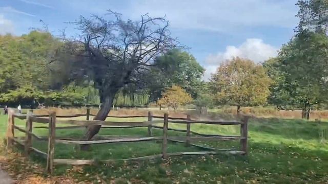 АНГЛИЯ. ПРОГУЛКА В ОСЕННЕМ ПАРКЕ. SURREY. смотреть онлайн