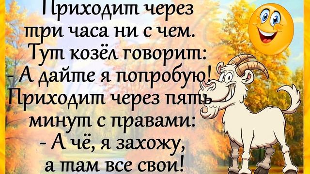 АНЕКДОТЫ! "Встречает Заяц Медведя..." ЮМОР! Хорошее настроение для друзей!)) смотреть онлайн