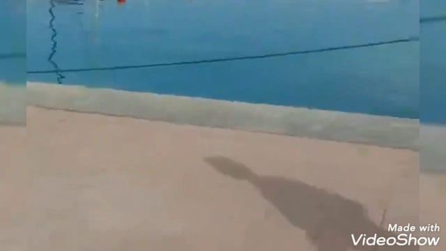 Wir zeigen euch unseren ersten Ägypten Urlaub Amwaj Blue Beach #FamileAaufReisen смотреть онлайн
