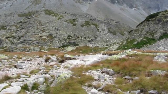 Tatra Mountains - Horný Smokovec, Slovakia - 360 Lookaround