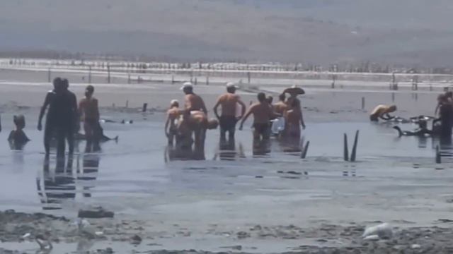 Грязевые озёра Керченского полуострова