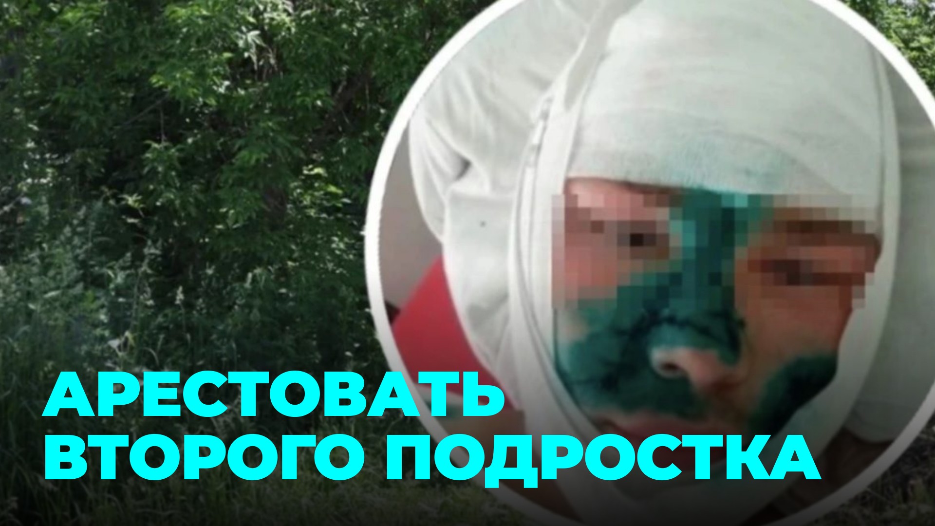 История не закончилась: жители Плотниково требуют завести ещё одно уголовное дело смотреть онлайн