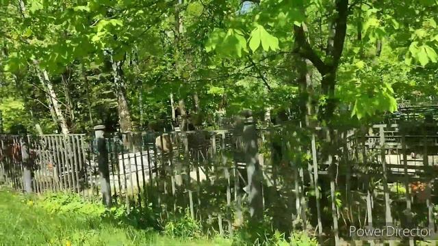 мою окна,шоппинг в глобусе и модис#шопинг #глобус смотреть онлайн