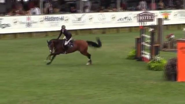 Video of AVON ridden by MATTIAS TROMP from ShowNet! смотреть онлайн