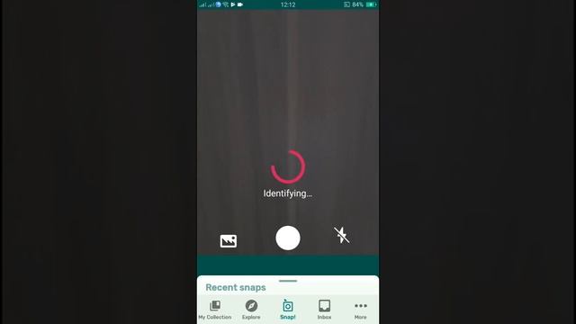 PlantSnap identifies a Common pink (Dianthus plumarius) смотреть онлайн