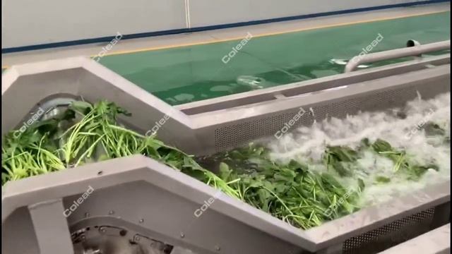 Многоуровневый конвейер для транспортировки овощей смотреть онлайн