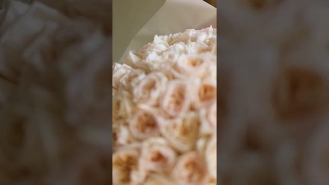 Монобукет из розы White O’Hara смотреть онлайн