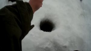 крупная плотва весной, кандры-куль,28.03.18, tmz fishing