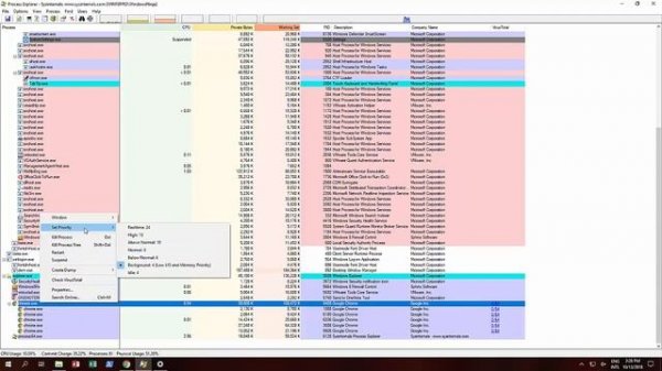 Windows 10 - Sysinternals Process Explorer Tool Usage