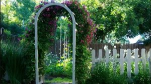 КАК ВЫБРАТЬ НАДЕЖНУЮ САДОВУЮ АРКУ