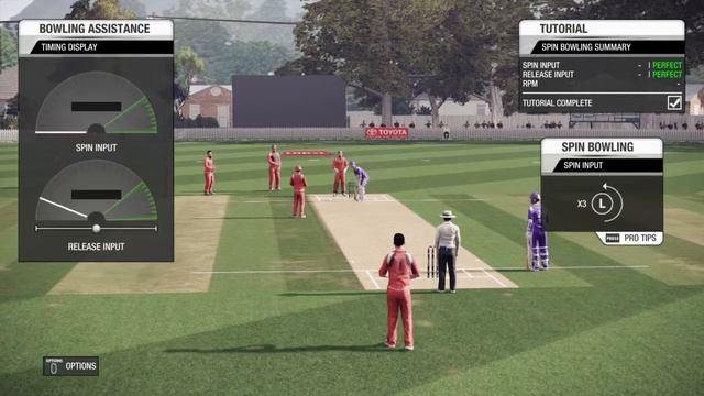 Don Bradman Cricket 14 (PS4) Batting Practice смотреть онлайн
