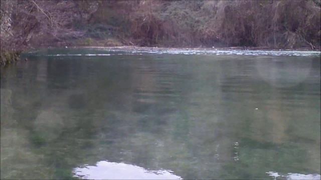 Riserva Fiume Volturno - Aps Colli a Volturno PESCA SUL VOLTURNO смотреть онлайн