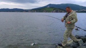 Ловля скумбрии с берега .Приморский край ,Врангель.