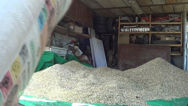 Мы сегодня хомячки ,от слова ХАПАТЬ смотреть онлайн