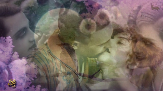 Леонид Кострица - Лунная рапсодия - Танго Оскара Строка