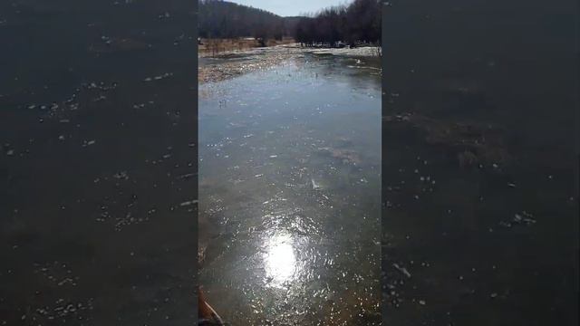 Иртыш вскрылся.