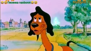 Меня не любят - это минус, но и не гонят...🐕 🎸🪕😁😁 Песенка Naoborot