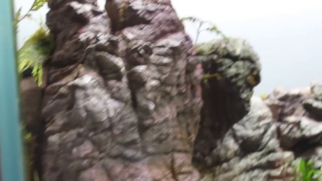 The Forsaken World Aquarium - Chapter IV - The Flood смотреть онлайн