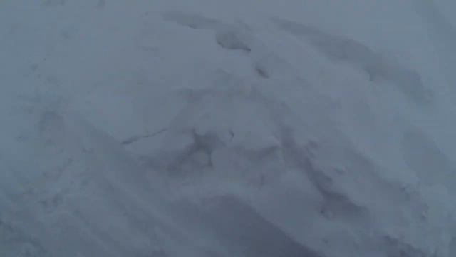 Как пройти на Гидроузел?! Рыбалка Иртыш, Омск смотреть онлайн