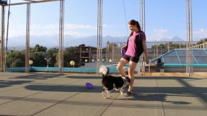 Frisbee Freestyle