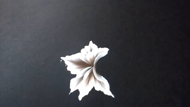 One stroke flower смотреть онлайн