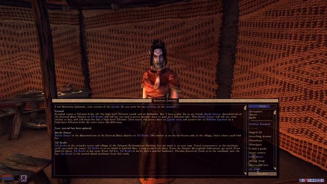 TES 3 Morrowind - 0035 - Zainab Nerevarine смотреть онлайн