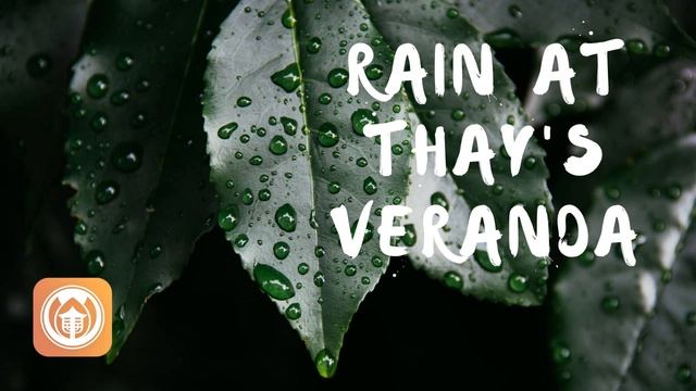 Rain at Thay's Veranda | Upper Hamlet, Plum Village смотреть онлайн