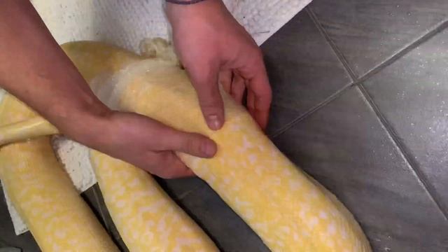 Змея линяет. Ускоренная линька тигрового питона смотреть онлайн