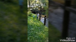 Прогулка в парке «Отрада»