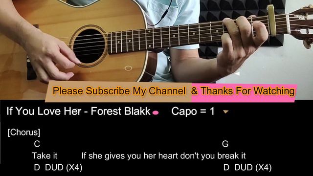 If You Love Her - Forest Blakk Guitar Tutorial Cover with Chords / Lyrics смотреть онлайн