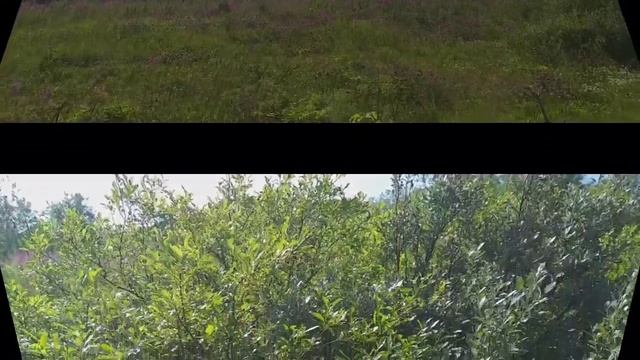 ВОРГАШОР ПРОГУЛКА 3 АВГУСТА 2021 смотреть онлайн