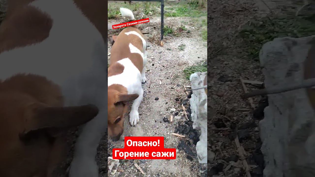 Выгорание сажи смотреть онлайн