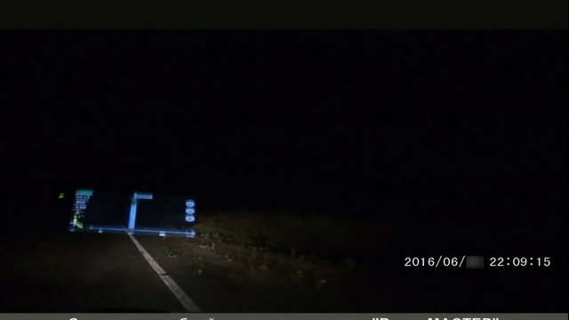 Верблюды напали на автомобиль