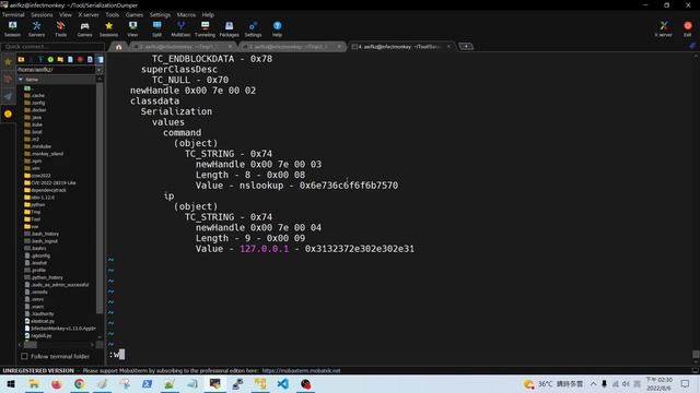 [漏洞基礎解說] 初見，透過 ysoserial 來練習反序列化攻擊 (CVE-2022-28219) смотреть онлайн