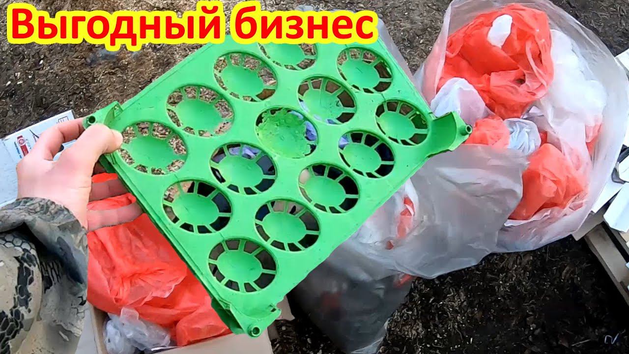 Сколько можно заработать на раздельном мусоре смотреть онлайн