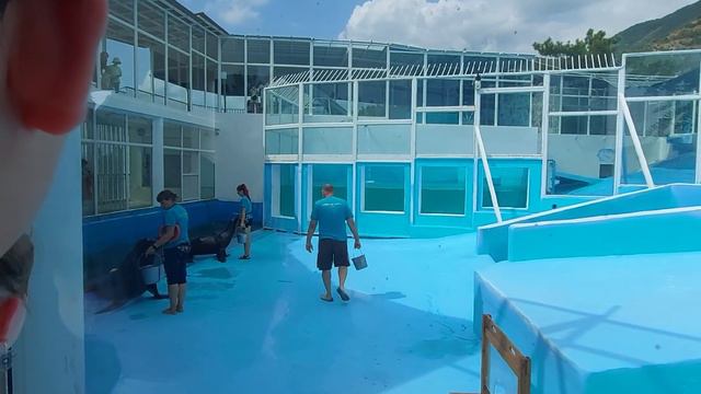 Влог Прокатились по канатной дороге в Геленджике /В восторге от посещения Сафари - Парка смотреть онлайн