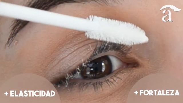 L'Oréal Primer y Máscara de pestañas Paradise - Belletica com смотреть онлайн