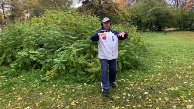 (9) Zhan Zhuang Yiquan. 40 day 40 minutes / Столбовое стояние Ицюань. 40 дней по 40 минут смотреть онлайн