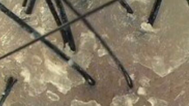 BES GELATO ? шампунь лакрица, для жирной и чувствительной кожи головы смотреть онлайн