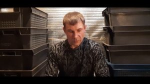 ПАН113 Гриндаль энхитреус при разведение червей. Белые червячки завелись. Надо ли избавляться.