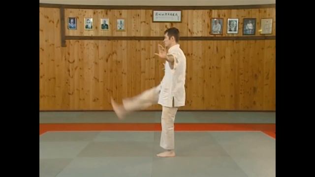 Урок физической культуры .Боль в суставах лечение профилактика. Суставная гимнастика Ушу Задание 5 смотреть онлайн