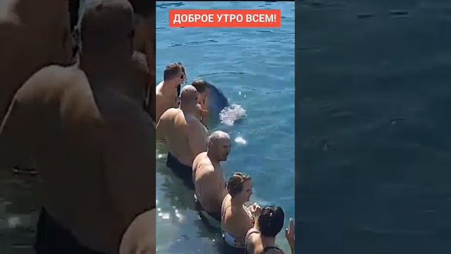 VID-20240727-WA0002.mp4 смотреть онлайн