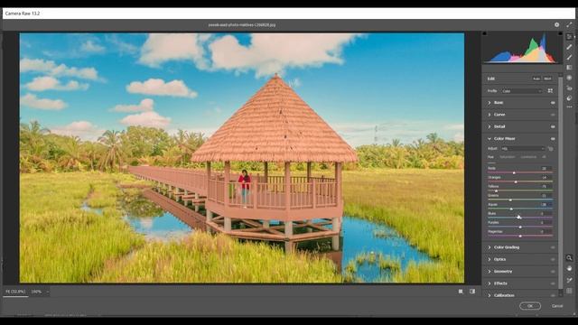 PROFESSIONAL COLOR GRADING PRESET - DNG & XMP - GREYISH TONE смотреть онлайн