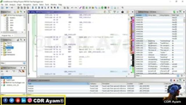 Software Reversing Engineering Complete Master Class смотреть онлайн