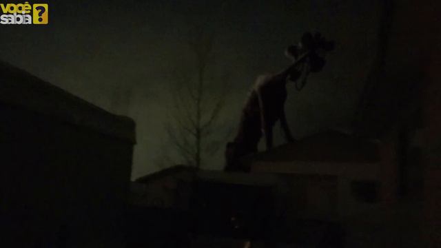 O MISTERIOSO CABEÇA DE SIRENE!! Ele existe DE VERDADE?? (SIREN HEAD) смотреть онлайн