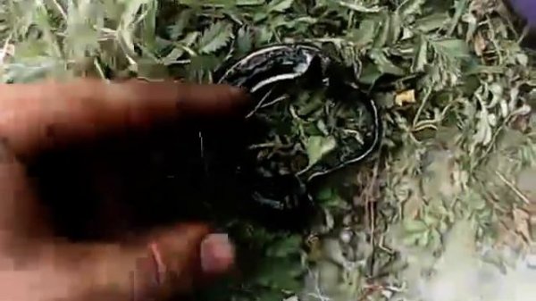 замена сальника своими руками