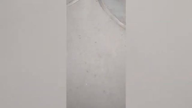 «Обматерил по пьяной лавочке»: поведение сотрудника проката в парке снял на видео житель Волжского смотреть онлайн